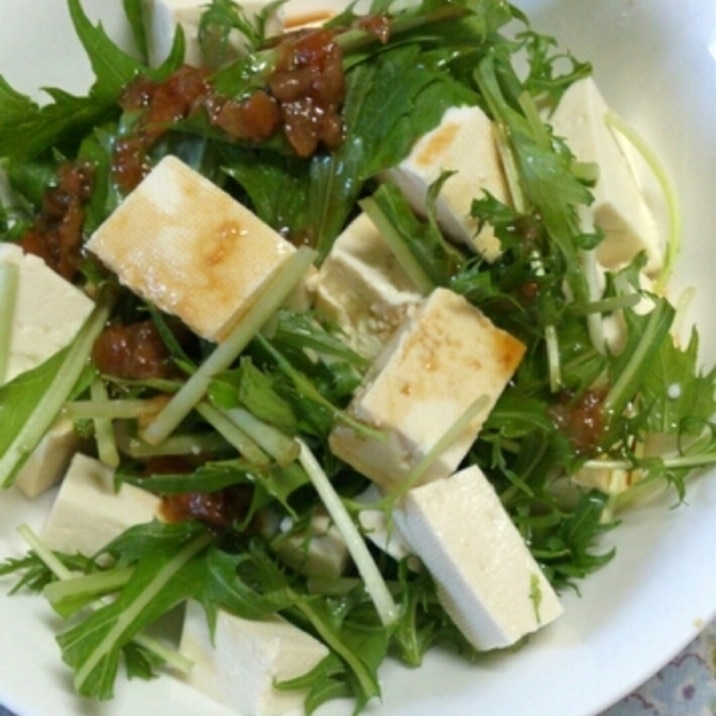 水菜と豆腐の梅ゴマポンサラダ